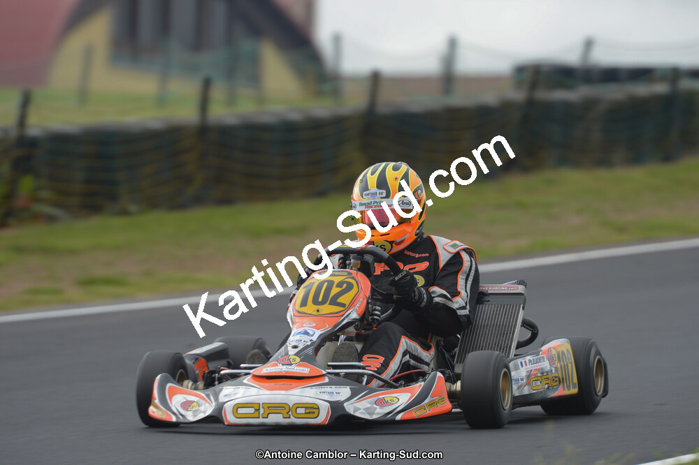 DSC_2331.jpg