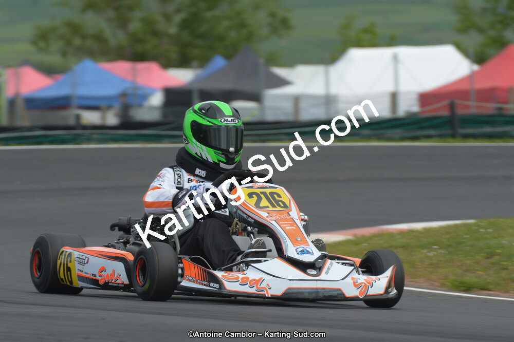 DSC_3517.jpg