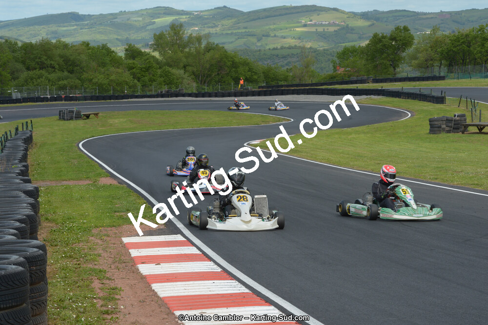 DSC_3611.jpg