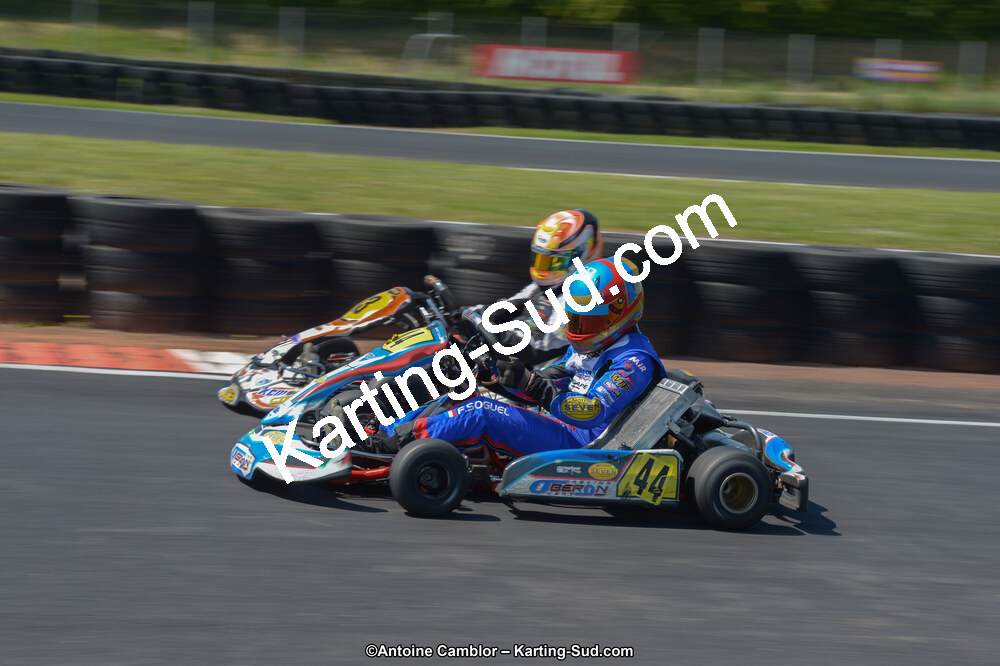DSC_6856.jpg