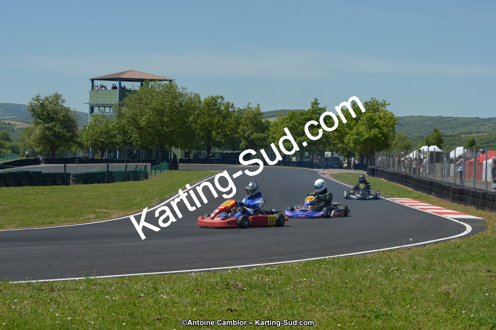 DSC_7597.jpg