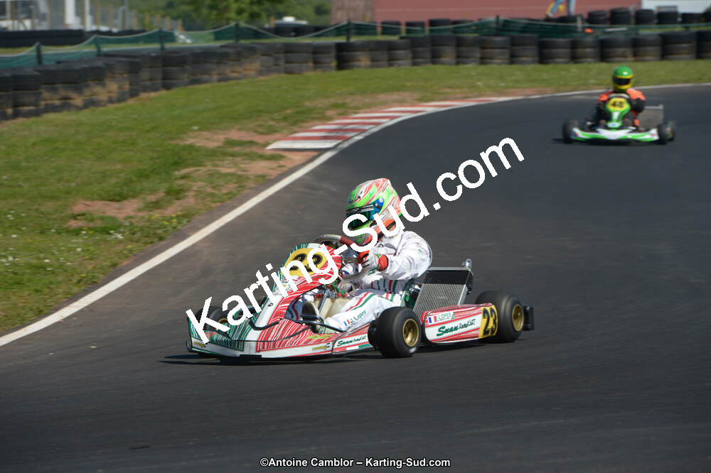 DSC_7996.jpg