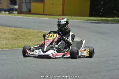 31/05/2015 : 4ème manche du Trophée Kart Ufolep 2015 à Layrac (Photos Patrick Lascombes) 2015 — karting