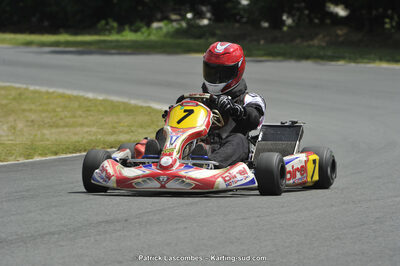 31/05/2015 : 4ème manche du Trophée Kart Ufolep 2015 à Layrac (Photos Patrick Lascombes) 2015 — karting