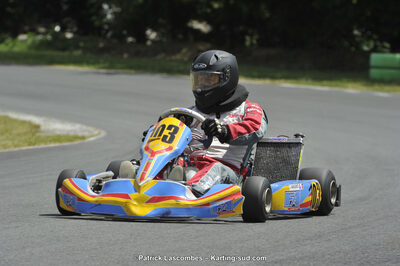 31/05/2015 : 4ème manche du Trophée Kart Ufolep 2015 à Layrac (Photos Patrick Lascombes) 2015 — karting