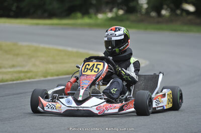 31/05/2015 : 4ème manche du Trophée Kart Ufolep 2015 à Layrac (Photos Patrick Lascombes) 2015 — karting