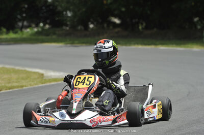 31/05/2015 : 4ème manche du Trophée Kart Ufolep 2015 à Layrac (Photos Patrick Lascombes) 2015 — karting