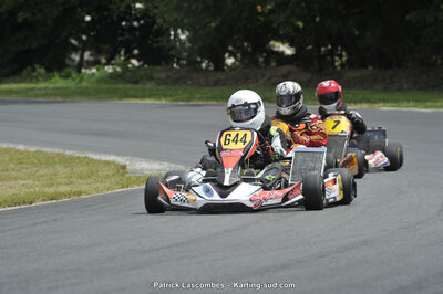 31/05/2015 : 4ème manche du Trophée Kart Ufolep 2015 à Layrac (Photos Patrick Lascombes) 2015 — karting