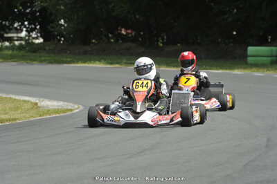 31/05/2015 : 4ème manche du Trophée Kart Ufolep 2015 à Layrac (Photos Patrick Lascombes) 2015 — karting