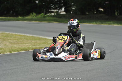 31/05/2015 : 4ème manche du Trophée Kart Ufolep 2015 à Layrac (Photos Patrick Lascombes) 2015 — karting