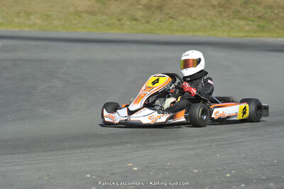 31/05/2015 : 4ème manche du Trophée Kart Ufolep 2015 à Layrac (Photos Patrick Lascombes) 2015 — karting