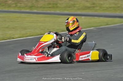 31/05/2015 : 4ème manche du Trophée Kart Ufolep 2015 à Layrac (Photos Patrick Lascombes) 2015 — karting