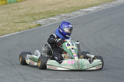 31/05/2015 : 4ème manche du Trophée Kart Ufolep 2015 à Layrac (Photos Patrick Lascombes) 2015 — karting