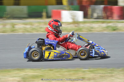 31/05/2015 : 4ème manche du Trophée Kart Ufolep 2015 à Layrac (Photos Patrick Lascombes) 2015 — karting
