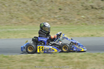 31/05/2015 : 4ème manche du Trophée Kart Ufolep 2015 à Layrac (Photos Patrick Lascombes) 2015 — karting