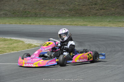 31/05/2015 : 4ème manche du Trophée Kart Ufolep 2015 à Layrac (Photos Patrick Lascombes) 2015 — karting