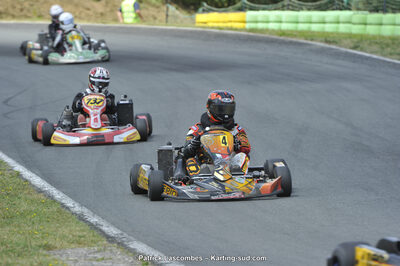 31/05/2015 : 4ème manche du Trophée Kart Ufolep 2015 à Layrac (Photos Patrick Lascombes) 2015 — karting