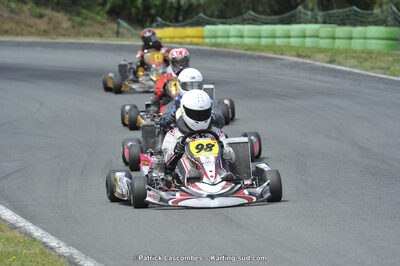 31/05/2015 : 4ème manche du Trophée Kart Ufolep 2015 à Layrac (Photos Patrick Lascombes) 2015 — karting