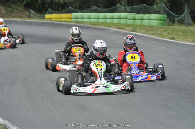 31/05/2015 : 4ème manche du Trophée Kart Ufolep 2015 à Layrac (Photos Patrick Lascombes) 2015 — karting