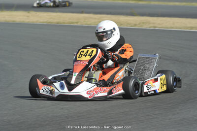 31/05/2015 : 4ème manche du Trophée Kart Ufolep 2015 à Layrac (Photos Patrick Lascombes) 2015 — karting
