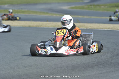 31/05/2015 : 4ème manche du Trophée Kart Ufolep 2015 à Layrac (Photos Patrick Lascombes) 2015 — karting