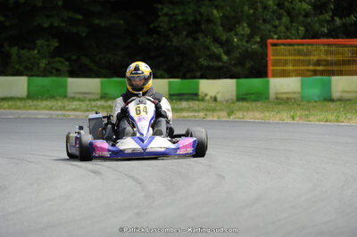 31/05/2015 : 4ème manche du Trophée Kart Ufolep 2015 à Layrac (Photos Patrick Lascombes) 2015 — karting