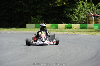 31/05/2015 : 4ème manche du Trophée Kart Ufolep 2015 à Layrac (Photos Patrick Lascombes) 2015 — karting