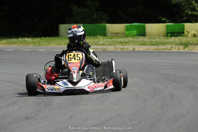 31/05/2015 : 4ème manche du Trophée Kart Ufolep 2015 à Layrac (Photos Patrick Lascombes) 2015 — karting