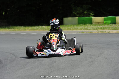 31/05/2015 : 4ème manche du Trophée Kart Ufolep 2015 à Layrac (Photos Patrick Lascombes) 2015 — karting