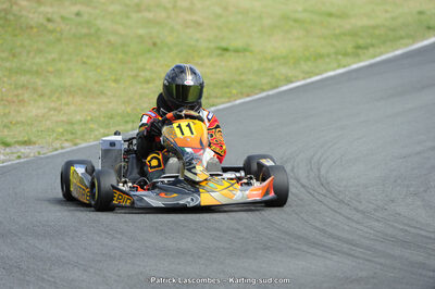 31/05/2015 : 4ème manche du Trophée Kart Ufolep 2015 à Layrac (Photos Patrick Lascombes) 2015 — karting