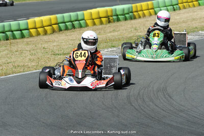 31/05/2015 : 4ème manche du Trophée Kart Ufolep 2015 à Layrac (Photos Patrick Lascombes) 2015 — karting