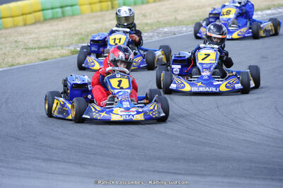 31/05/2015 : 4ème manche du Trophée Kart Ufolep 2015 à Layrac (Photos Patrick Lascombes) 2015 — karting