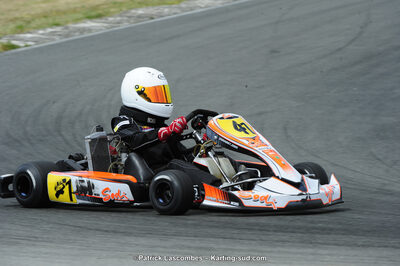 31/05/2015 : 4ème manche du Trophée Kart Ufolep 2015 à Layrac (Photos Patrick Lascombes) 2015 — karting