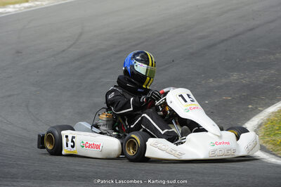 31/05/2015 : 4ème manche du Trophée Kart Ufolep 2015 à Layrac (Photos Patrick Lascombes) 2015 — karting