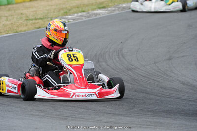 31/05/2015 : 4ème manche du Trophée Kart Ufolep 2015 à Layrac (Photos Patrick Lascombes) 2015 — karting