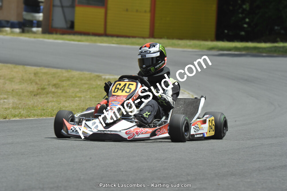 31/05/2015 : 4ème manche du Trophée Kart Ufolep 2015 à Layrac (Photos Patrick Lascombes) 2015 — karting