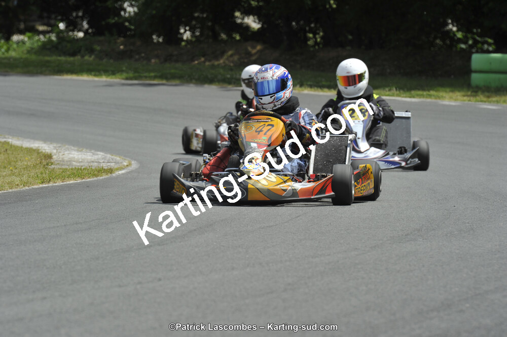 31/05/2015 : 4ème manche du Trophée Kart Ufolep 2015 à Layrac (Photos Patrick Lascombes) 2015 — karting