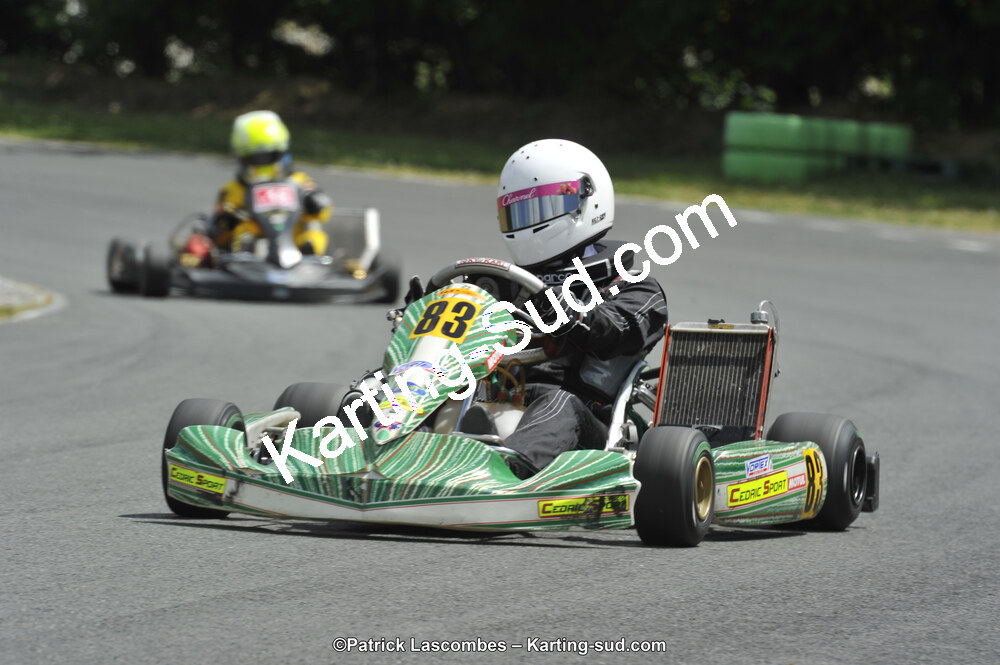 31/05/2015 : 4ème manche du Trophée Kart Ufolep 2015 à Layrac (Photos Patrick Lascombes) 2015 — karting
