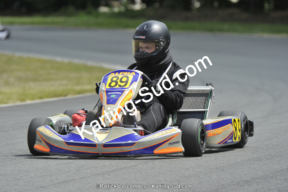 31/05/2015 : 4ème manche du Trophée Kart Ufolep 2015 à Layrac (Photos Patrick Lascombes) 2015 — karting