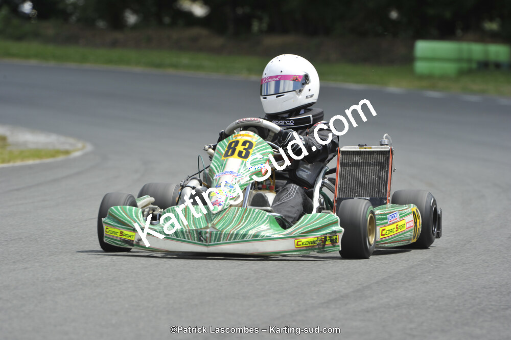 31/05/2015 : 4ème manche du Trophée Kart Ufolep 2015 à Layrac (Photos Patrick Lascombes) 2015 — karting
