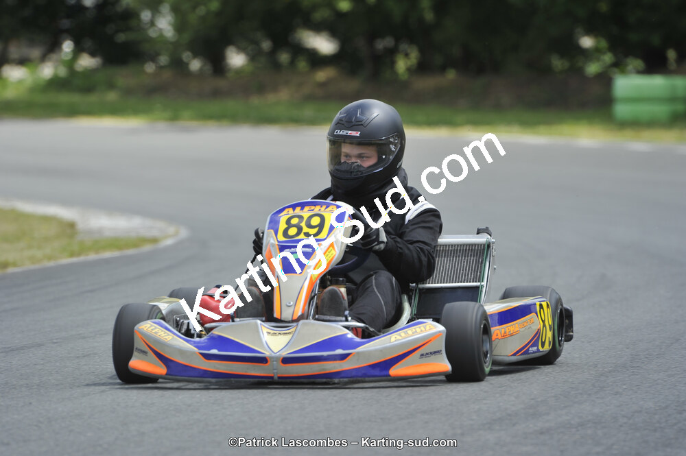 31/05/2015 : 4ème manche du Trophée Kart Ufolep 2015 à Layrac (Photos Patrick Lascombes) 2015 — karting
