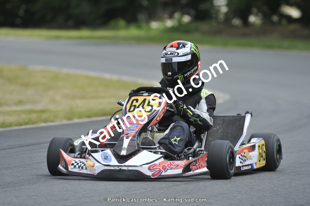 31/05/2015 : 4ème manche du Trophée Kart Ufolep 2015 à Layrac (Photos Patrick Lascombes) 2015 — karting
