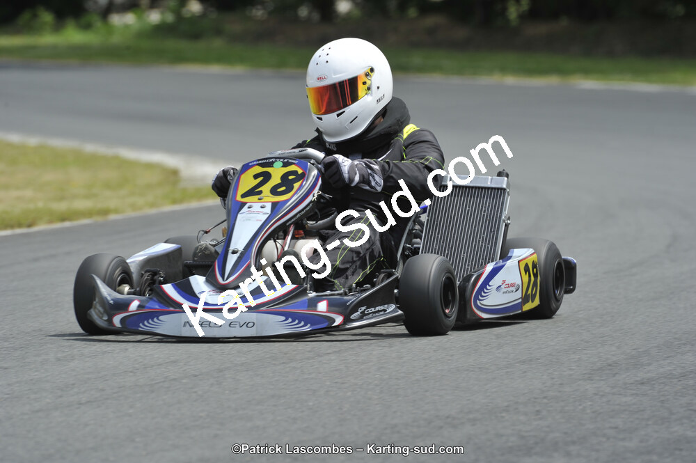 31/05/2015 : 4ème manche du Trophée Kart Ufolep 2015 à Layrac (Photos Patrick Lascombes) 2015 — karting