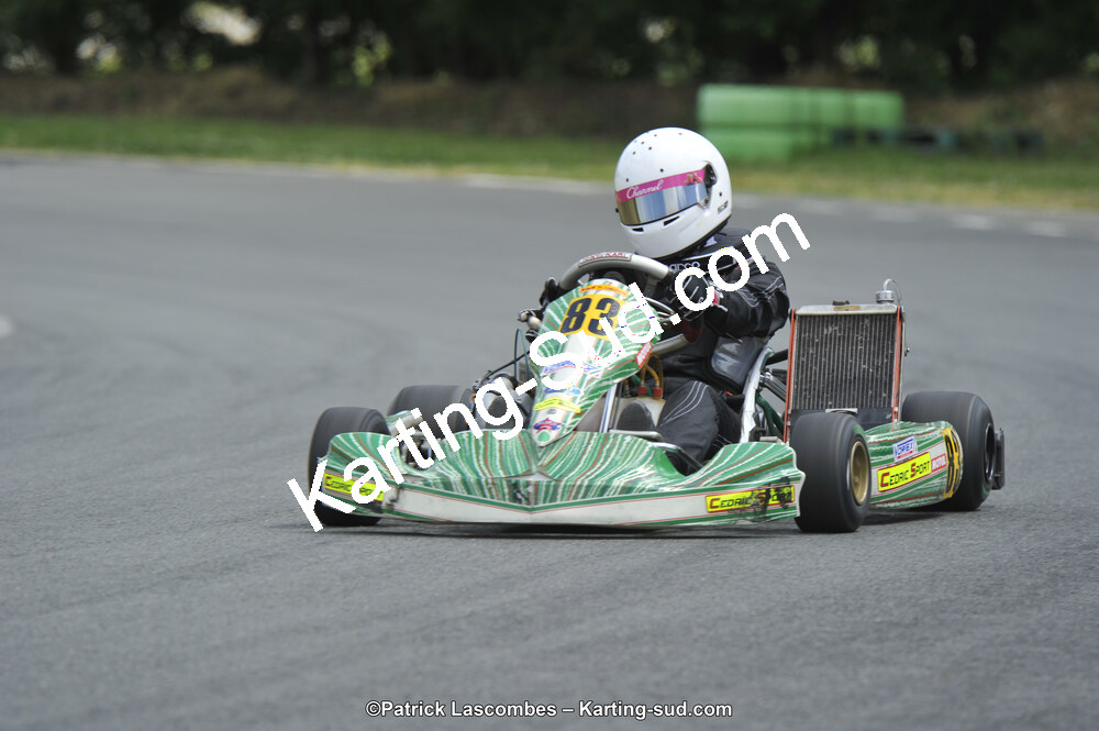 31/05/2015 : 4ème manche du Trophée Kart Ufolep 2015 à Layrac (Photos Patrick Lascombes) 2015 — karting