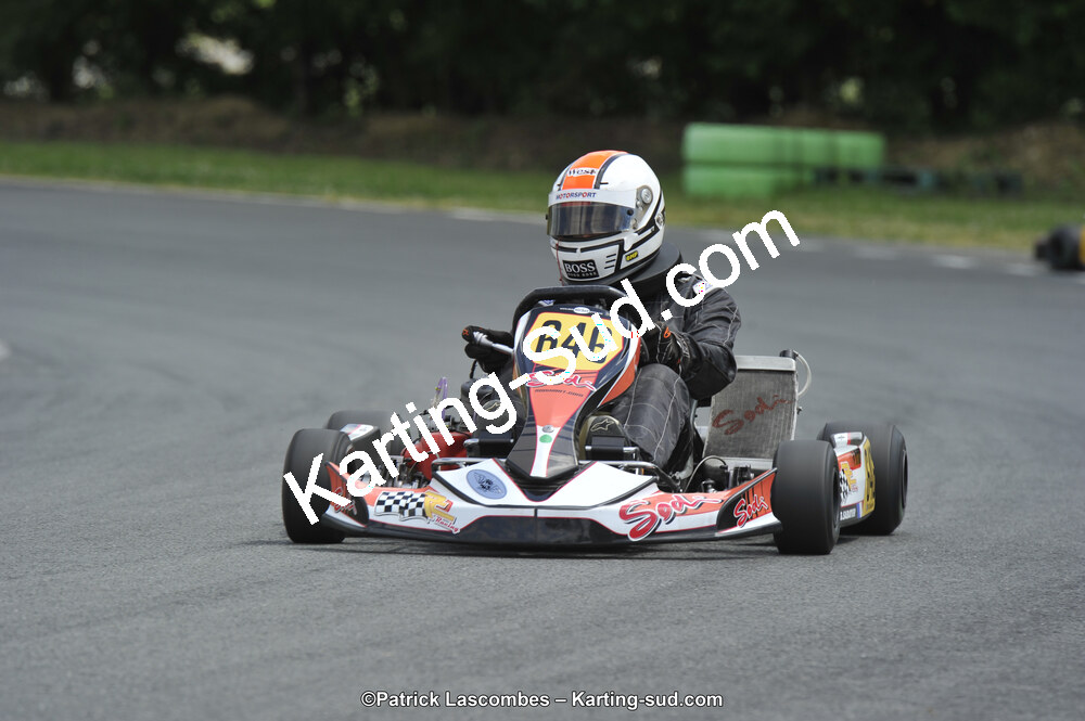 31/05/2015 : 4ème manche du Trophée Kart Ufolep 2015 à Layrac (Photos Patrick Lascombes) 2015 — karting