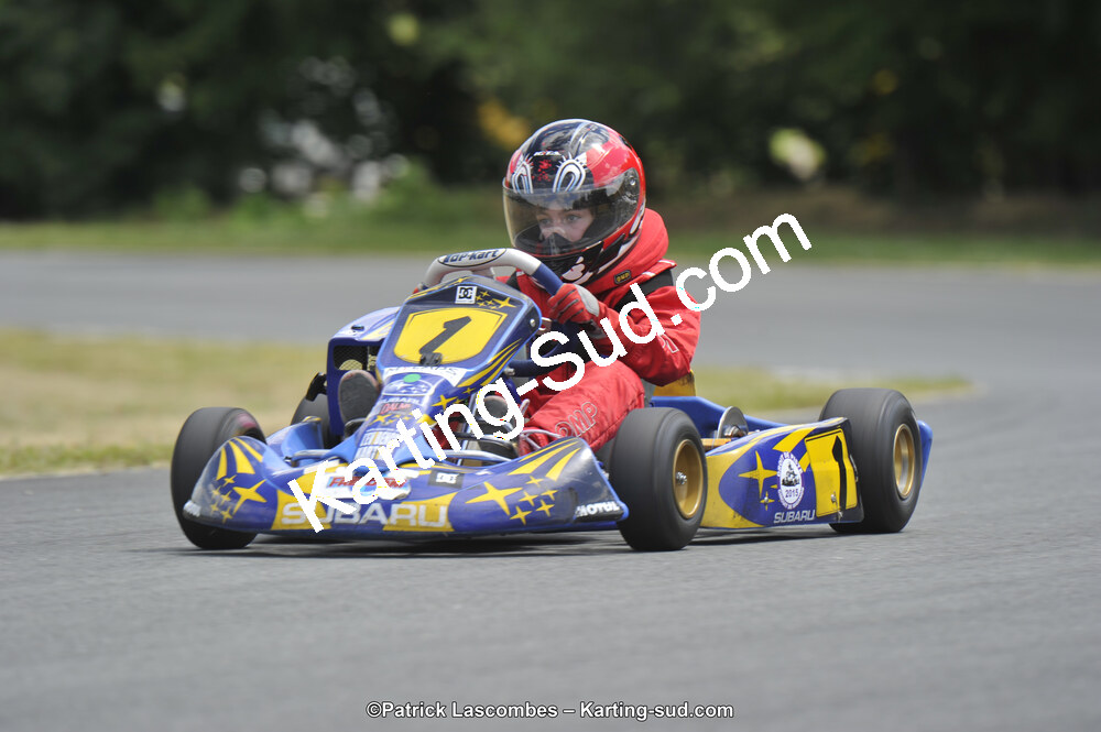 31/05/2015 : 4ème manche du Trophée Kart Ufolep 2015 à Layrac (Photos Patrick Lascombes) 2015 — karting