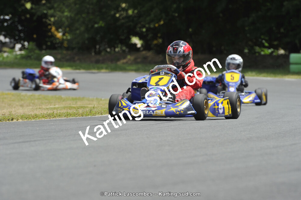 31/05/2015 : 4ème manche du Trophée Kart Ufolep 2015 à Layrac (Photos Patrick Lascombes) 2015 — karting