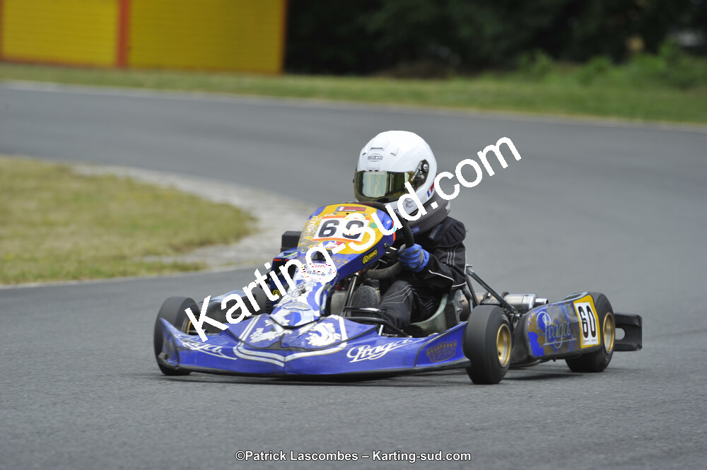 31/05/2015 : 4ème manche du Trophée Kart Ufolep 2015 à Layrac (Photos Patrick Lascombes) 2015 — karting
