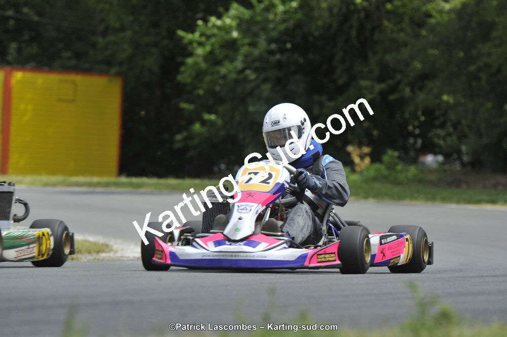 31/05/2015 : 4ème manche du Trophée Kart Ufolep 2015 à Layrac (Photos Patrick Lascombes) 2015 — karting
