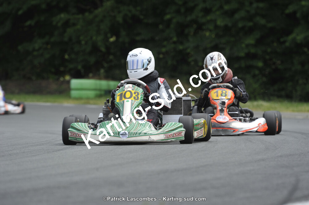 31/05/2015 : 4ème manche du Trophée Kart Ufolep 2015 à Layrac (Photos Patrick Lascombes) 2015 — karting